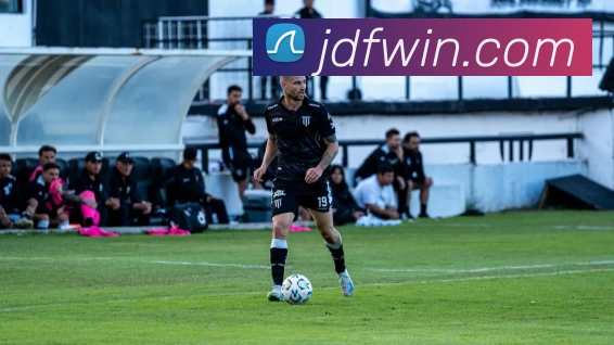 金大发娱乐城官网平台生态图